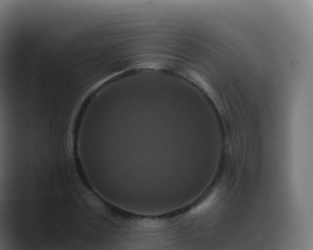 X0000089730779200706281548