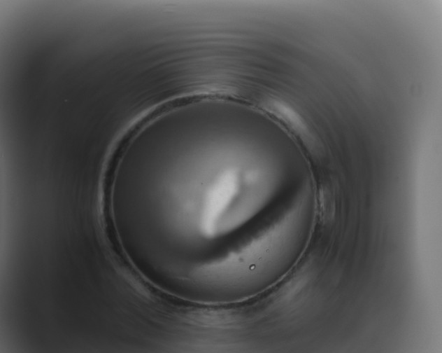 X0000089730780200706281548