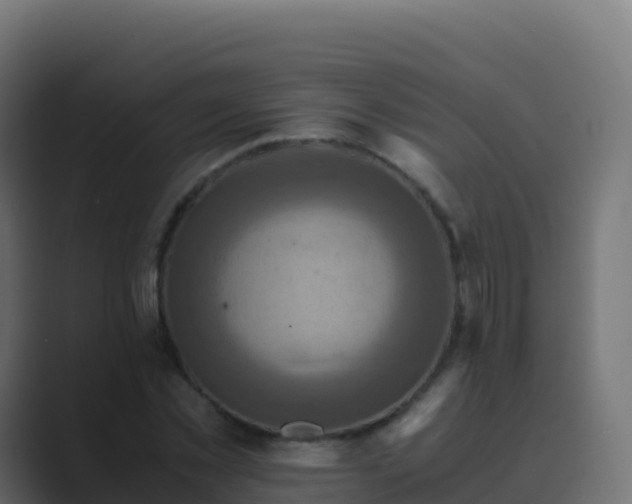 X0000089730781200706281548