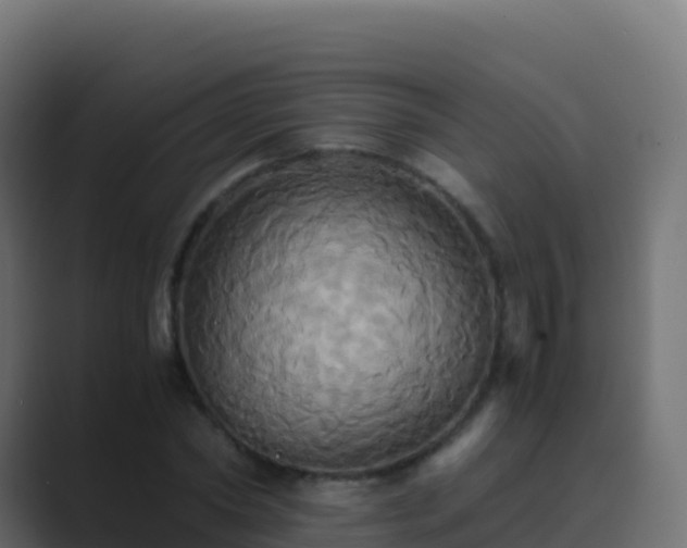 X0000089730782200706281548