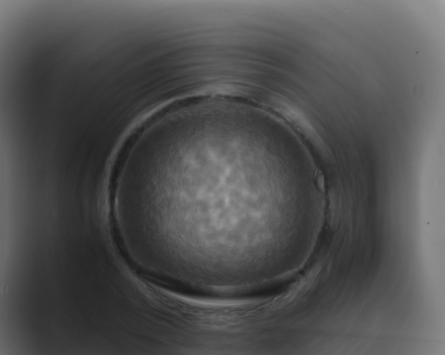 X0000089730784200706281548