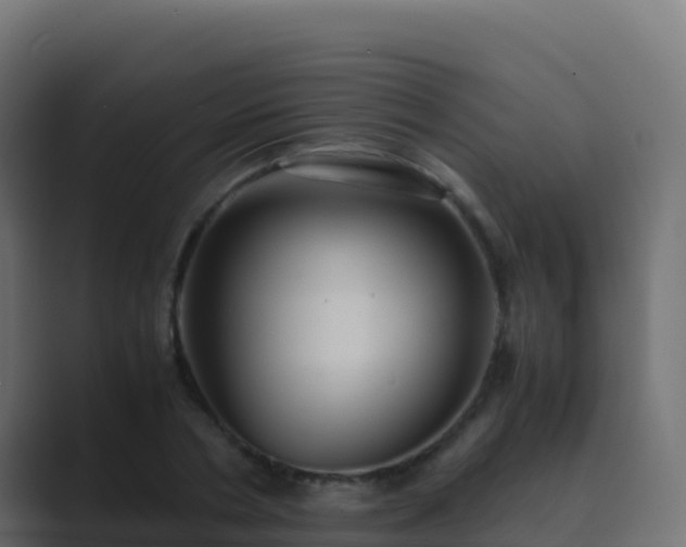 X0000089730786200706281548