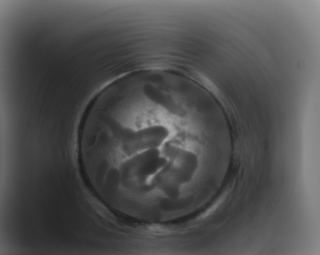 X0000089730787200706281548