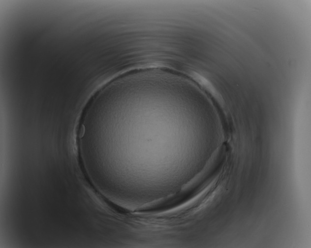 X0000089730789200706281548