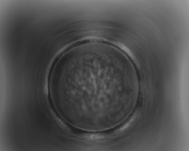 X0000089730791200706281548
