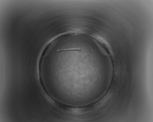 X0000089730792200706281548