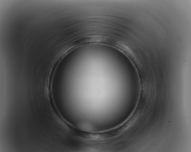 X0000089730794200706281548