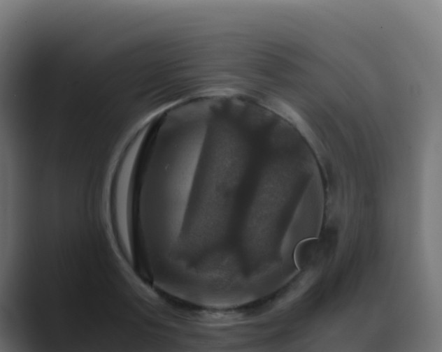 X0000089730795200706281548