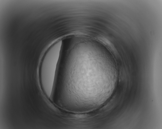 X0000089730796200706281548