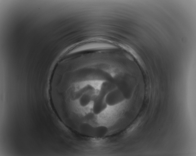 X0000089730799200706281548