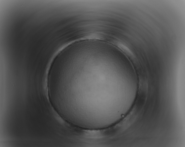 X0000089730800200706281548