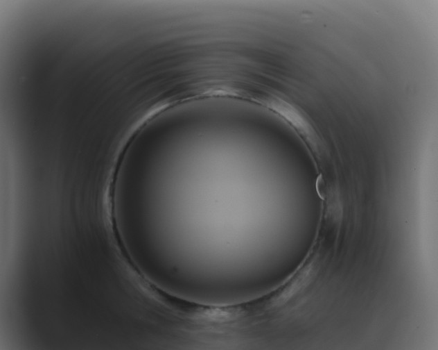 X0000089730806200706281548