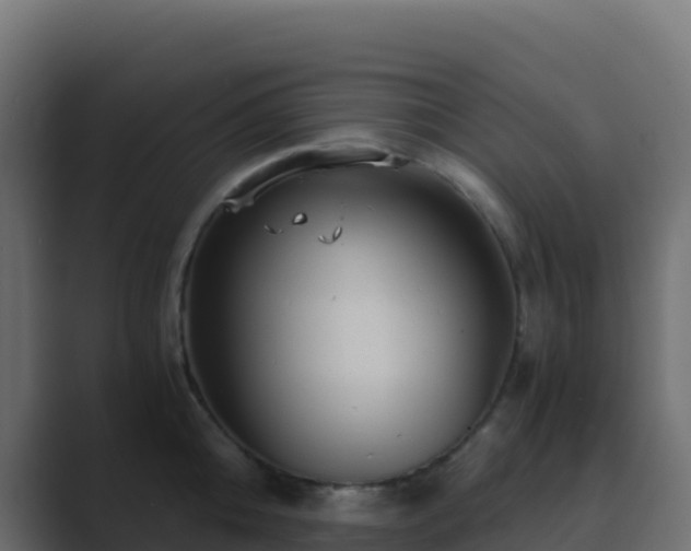 X0000089730808200706281548