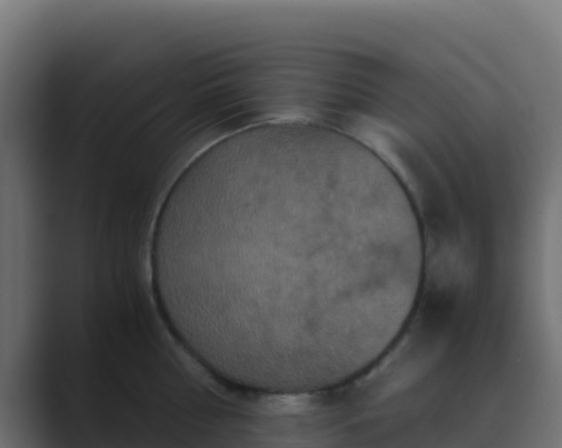 X0000089730810200706281548