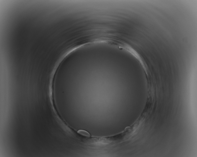 X0000089730811200706281548