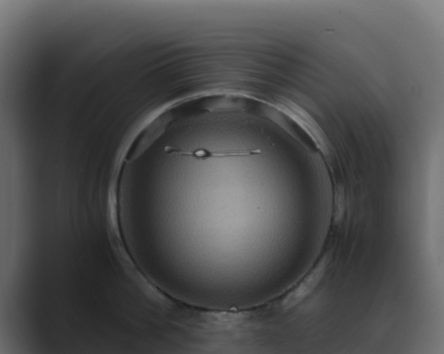 X0000089730812200706281548