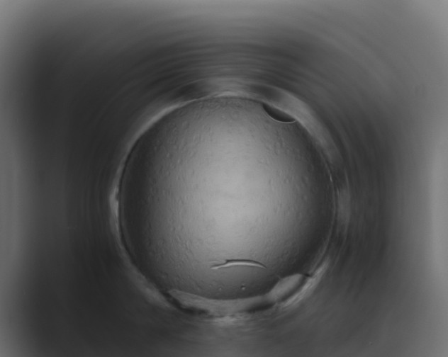 X0000089730814200706281548