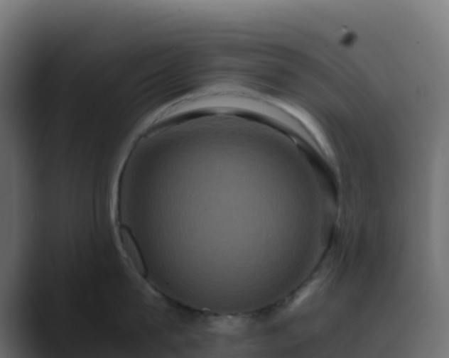 X0000089730815200706281548