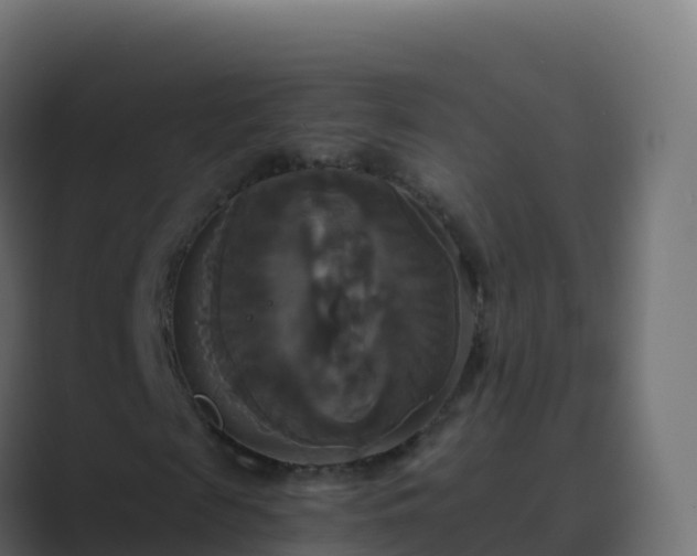X0000089730817200706281547