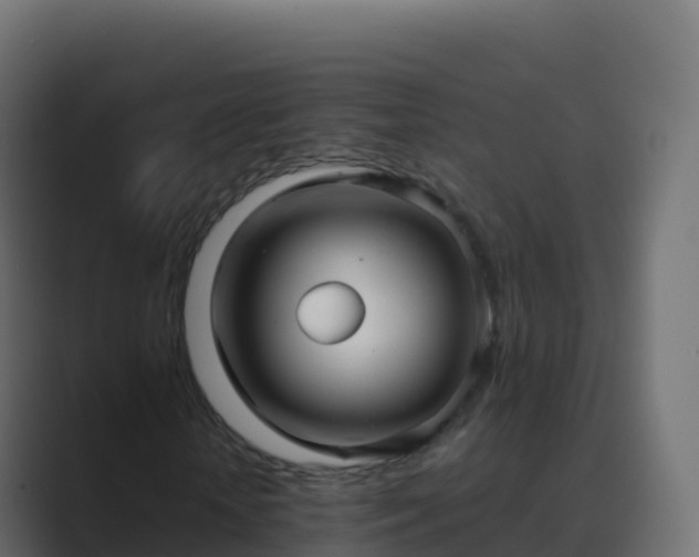X0000089730818200706281547