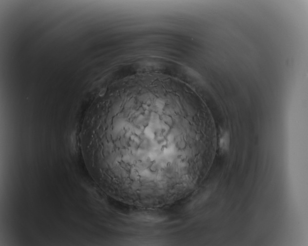 X0000089730819200706281547