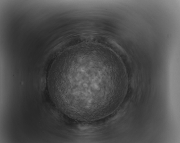 X0000089730821200706281547