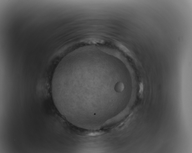 X0000089730822200706281547