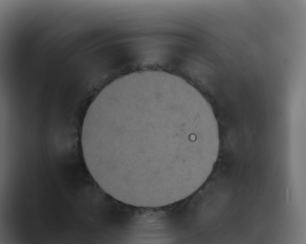 X0000089730824200706281547