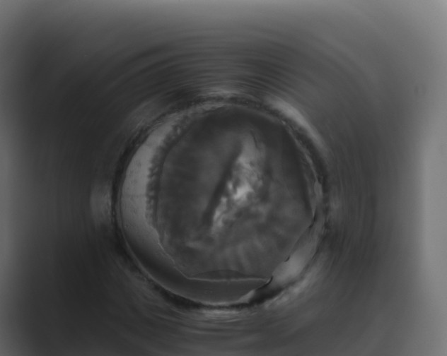 X0000089730825200706281547