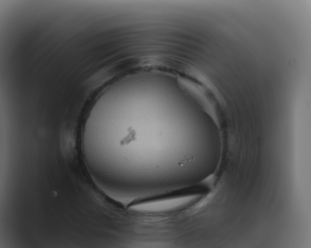 X0000089730826200706281547