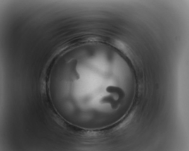 X0000089730827200706281548