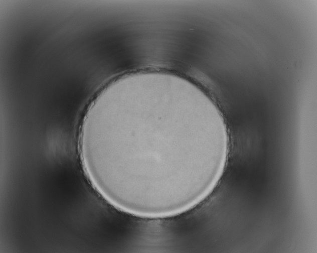 X0000089730828200706281548