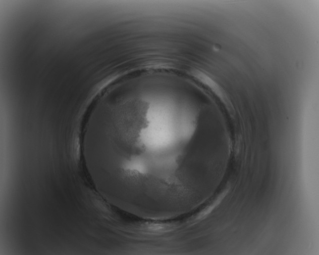 X0000089730829200706281548