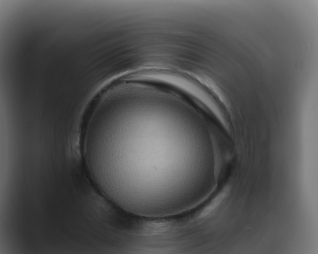 X0000089730830200706281548