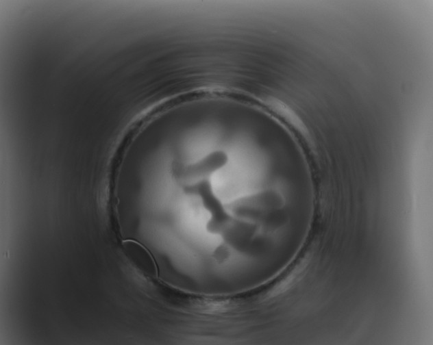 X0000089730831200706281548