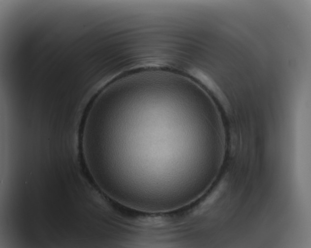 X0000089730834200706281548