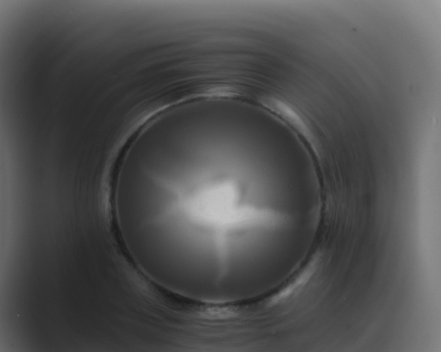 X0000089730835200706281548