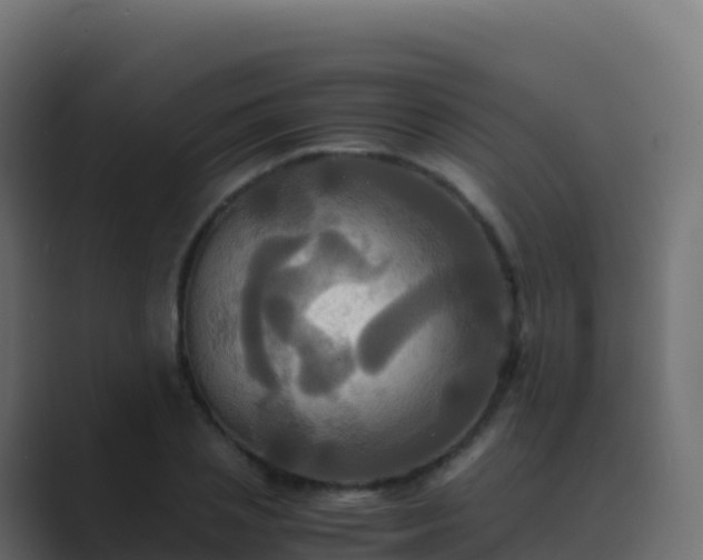 X0000089730837200706281548