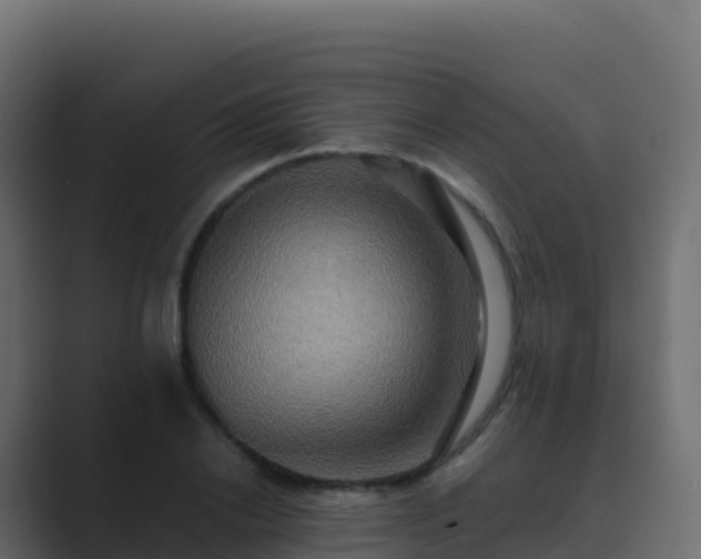 X0000089730838200706281548