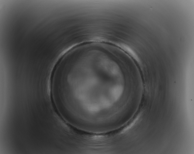 X0000089730839200706281548