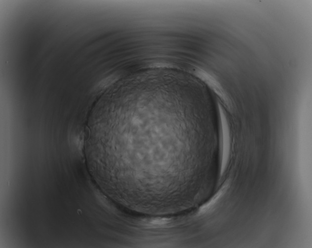 X0000089730841200706281548