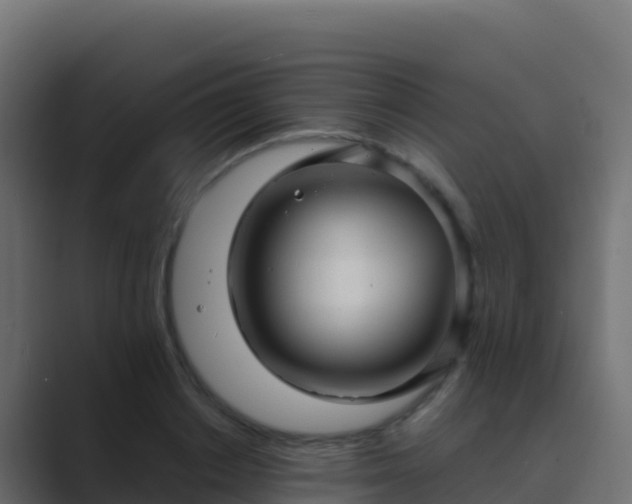 X0000089730842200706281548