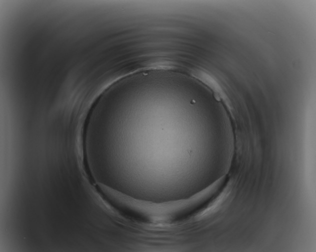 X0000089730843200706281548
