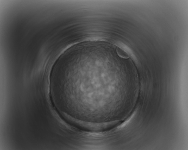 X0000089730844200706281548