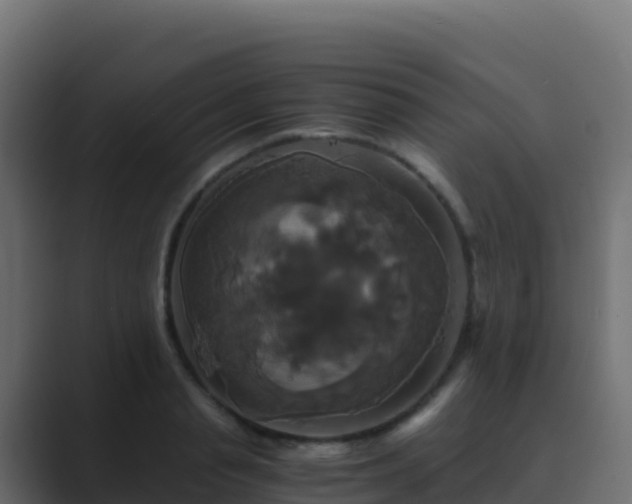 X0000089730845200706281548