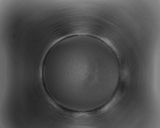 X0000089730846200706281548