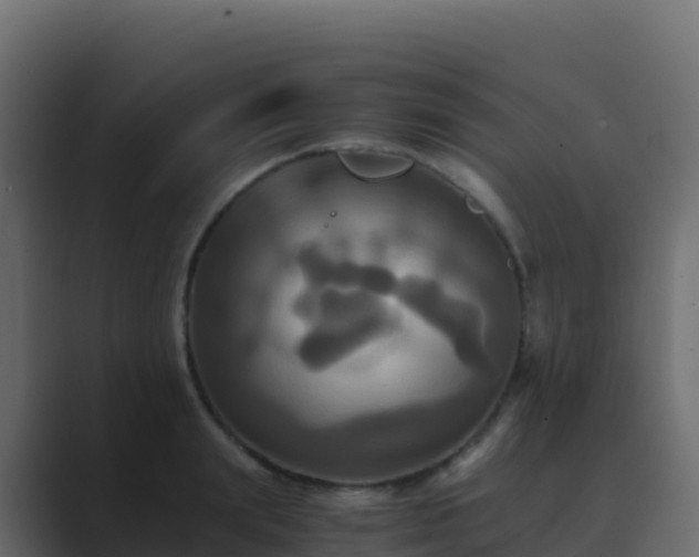 X0000089730847200706281548