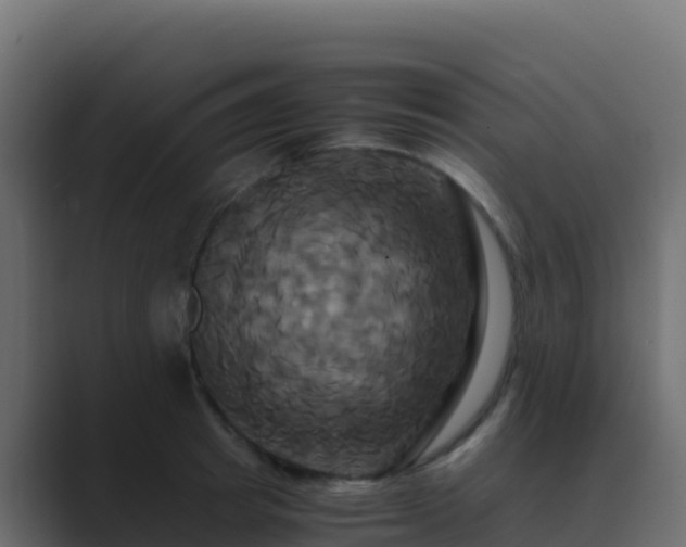 X0000089730849200706281548