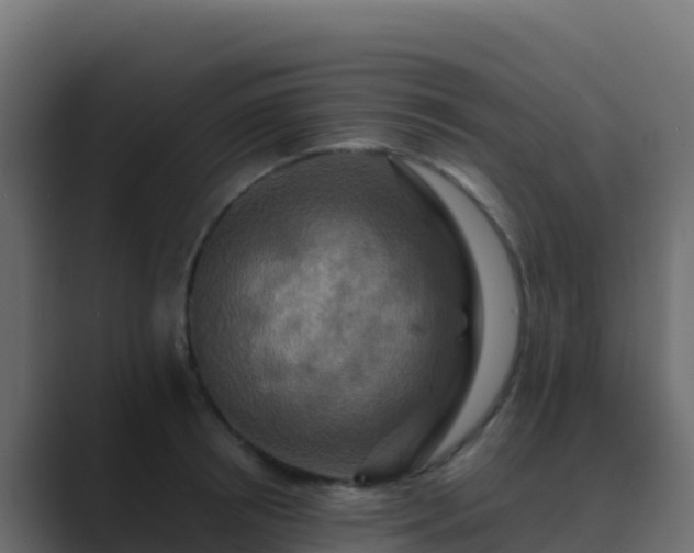 X0000089730850200706281548