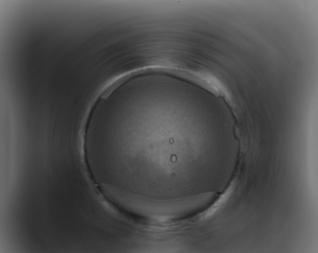 X0000089730854200706281548